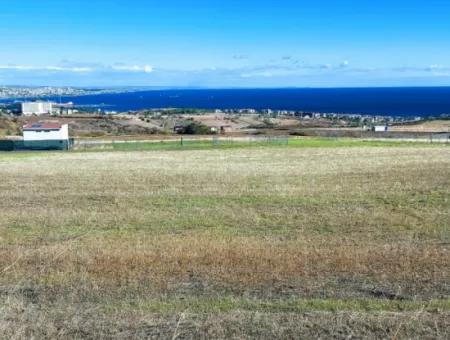 Dringender Verkauf In Barbarosta, Tekirdag, 15.000 M2 Villa Zoniertes Feld!