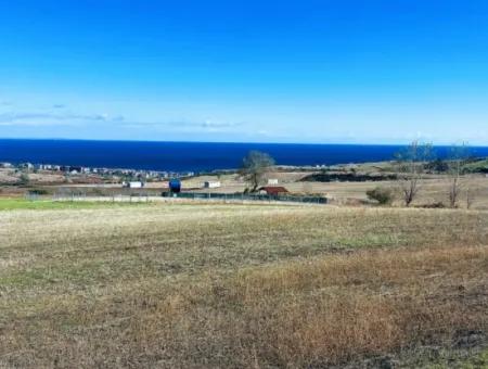 Dringender Verkauf In Barbarosta, Tekirdag, 15.000 M2 Villa Zoniertes Feld!