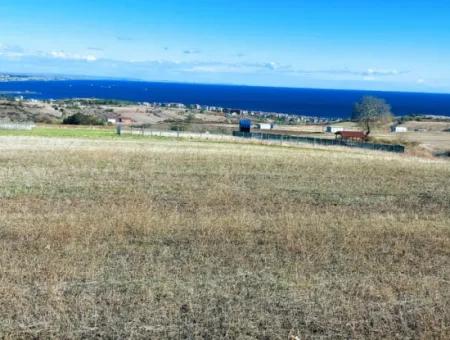 Dringender Verkauf In Barbarosta, Tekirdag, 15.000 M2 Villa Zoniertes Feld!