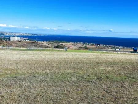 Dringender Verkauf In Barbarosta, Tekirdag, 15.000 M2 Villa Zoniertes Feld!