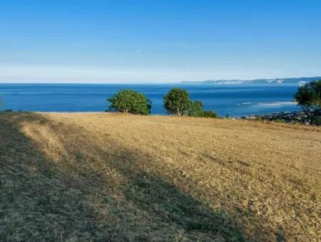 Gutschein Grundstück Zum Dringenden Verkauf Geeignet Für Den Bau Ihres Einfamilienhauses Mit Herrlichem Meerblick In Tekirdag Barbarosta