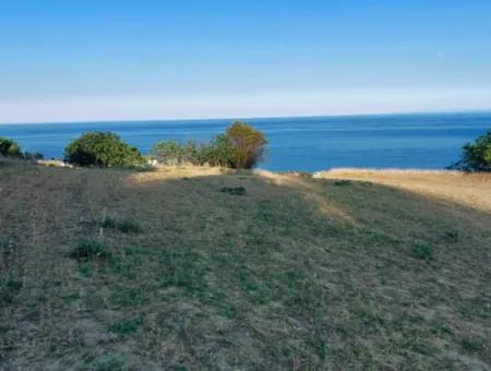 Gutschein Grundstück Zum Dringenden Verkauf Geeignet Für Den Bau Ihres Einfamilienhauses Mit Herrlichem Meerblick In Tekirdag Barbarosta