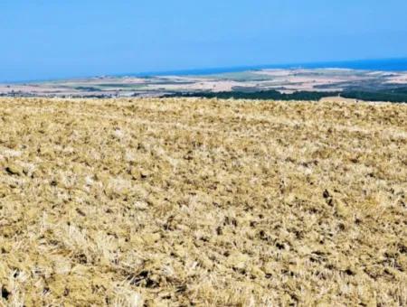 Tekirdağ Aşağkiliçli Mah. 2.340 M2 Kupon Feld Für Dringenden Verkauf, Das Hohe Gewinne Verspricht Und Sich Für Kauf Und Verkauf Eignet