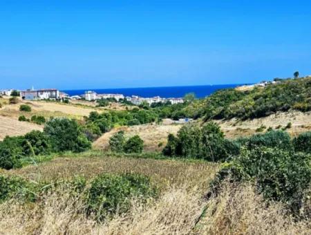 9.100 M2 Villa Zoniertes Feld Zum Dringenden Verkauf In Tekirdag Barbarosta