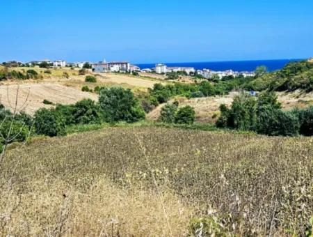 9.100 M2 Villa Zoniertes Feld Zum Dringenden Verkauf In Tekirdag Barbarosta