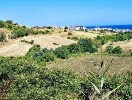 9.100 M2 Villa Zoniertes Feld Zum Dringenden Verkauf In Tekirdag Barbarosta