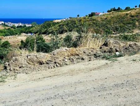 9.100 M2 Villa Zoniertes Feld Zum Dringenden Verkauf In Tekirdag Barbarosta