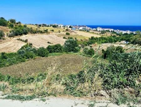 9.100 M2 Villa Zoniertes Feld Zum Dringenden Verkauf In Tekirdag Barbarosta