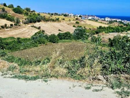 9.100 M2 Villa Zoniertes Feld Zum Dringenden Verkauf In Tekirdag Barbarosta