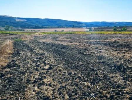 Der Hafen Von Asyaport Liegt Ganz In Der Nähe Der Bestehenden Zonierung Von 17.350 M2 Schnäppchen-Investitionscoupon-Feld Für Den Dringenden Verkauf