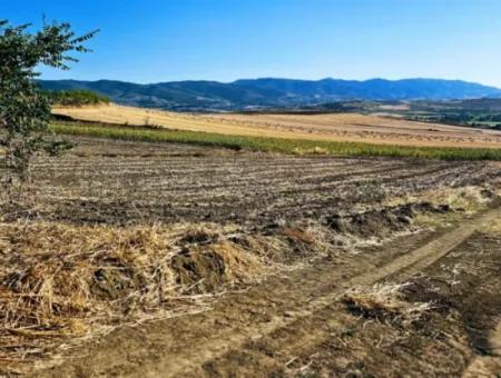 Der Hafen Von Asyaport Liegt Ganz In Der Nähe Der Bestehenden Zonierung Von 17.350 M2 Schnäppchen-Investitionscoupon-Feld Für Den Dringenden Verkauf