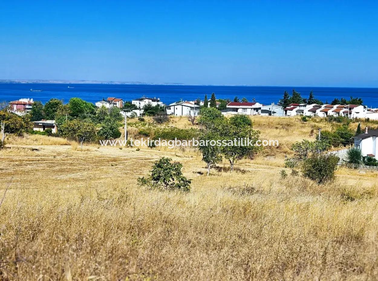 Coupon Land Suitable For Building A Detached House With Full Sea View For Urgent Sale In Tekirdag Barbarosta