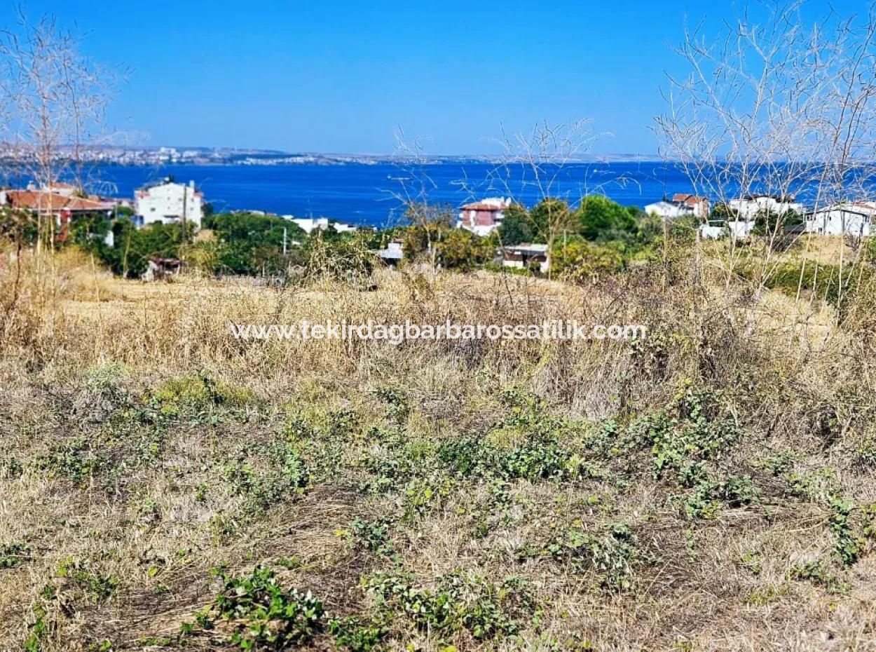 Coupon Land Suitable For Building A Detached House With Full Sea View For Urgent Sale In Tekirdag Barbarosta