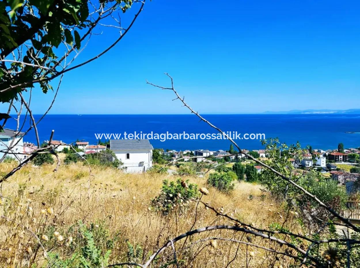 Amazing Investment Opportunity For 6 Villas With Sea View In Tekirdag Süleymanpaşa Barbarossa!