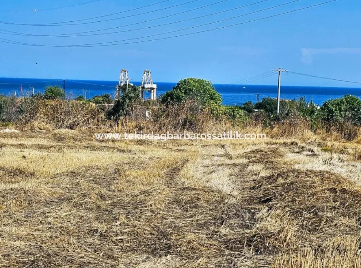 8.500 M2 Residential Zoned Coupon Field For Urgent Sale Close To Asyaport Port