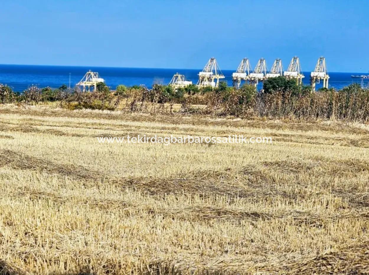 4.150 M2 Residential Zoned Field For Urgent Sale Just 1 Km From Asyaport Port