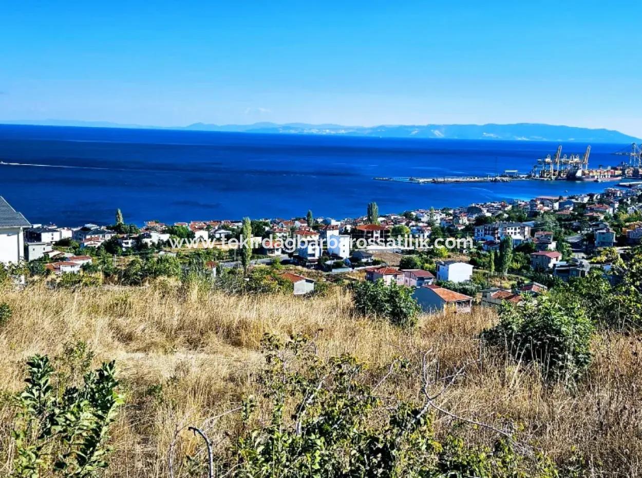 25 Flats With Full Sea View Coupon Place For Urgent Sale In Tekirdag Barbarosta