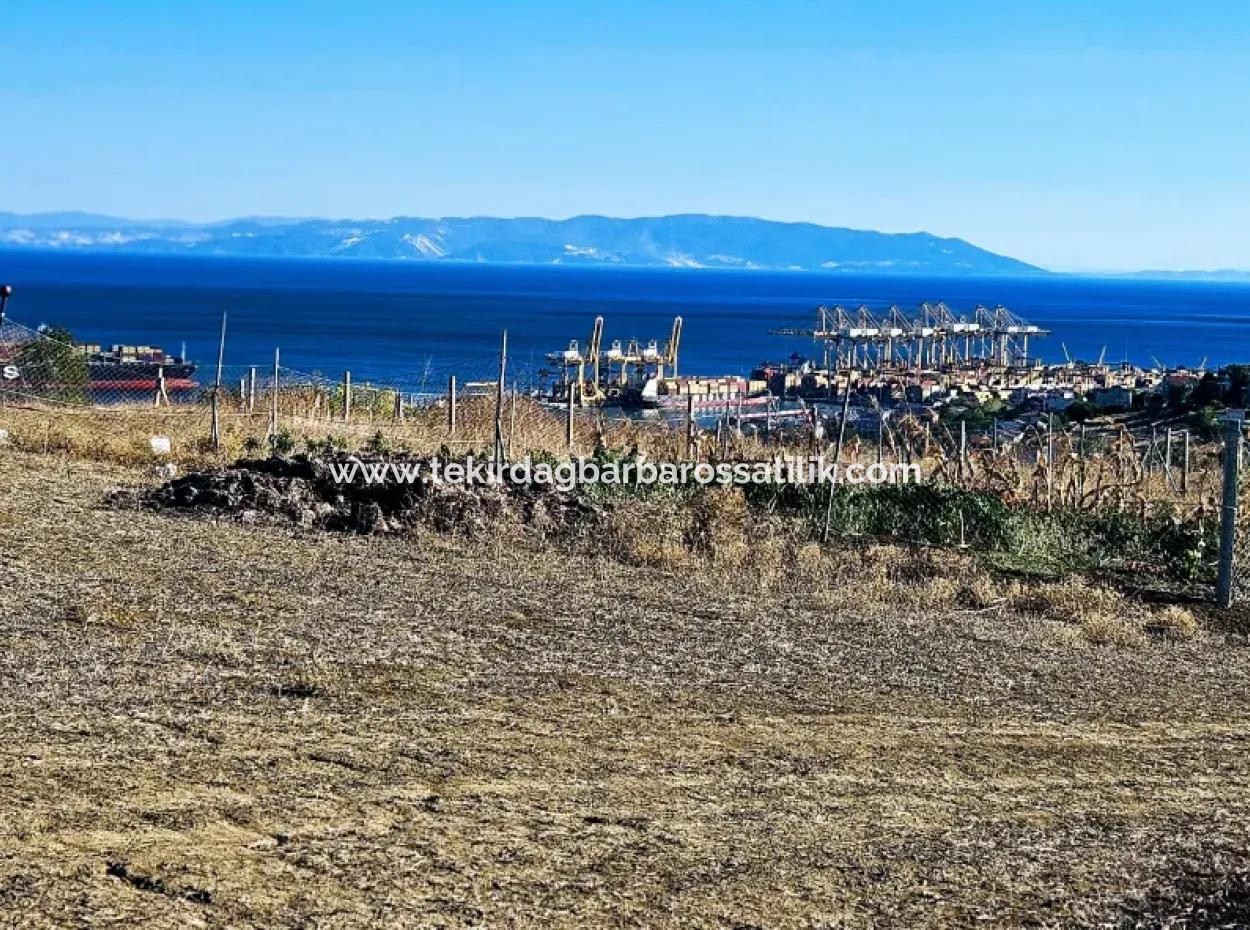 765 M2 Bargain Land With Full Sea View For Urgent Sale In Tekirdag Barbarosta