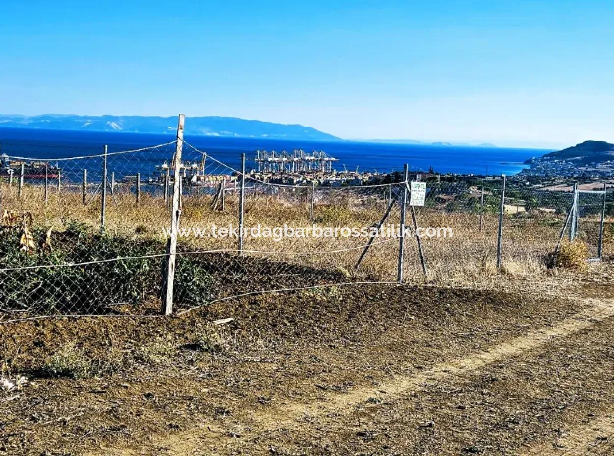 765 M2 Bargain Land With Full Sea View For Urgent Sale In Tekirdag Barbarosta