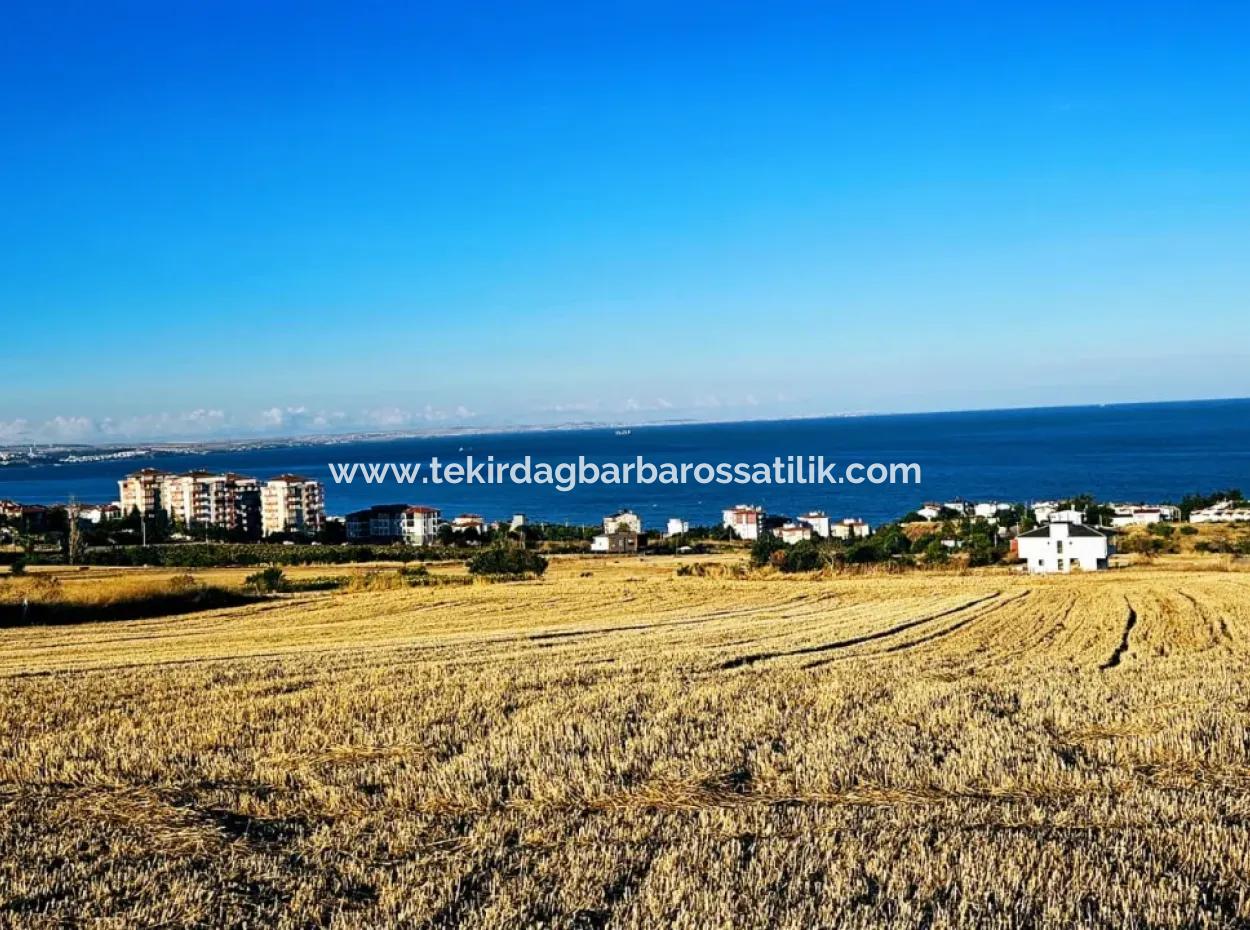 1.750 M2 Bargain Corner Plot With Full Sea View For Urgent Sale In Tekirdag Barbarosta