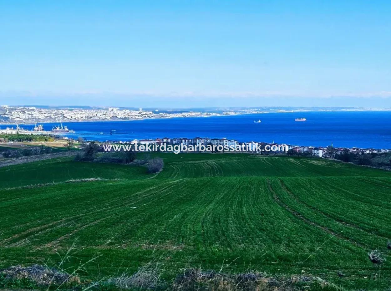 35.000 M2 Villa Zoned Land With Full Sea View For Urgent Sale In Tekirdag Barbarosta