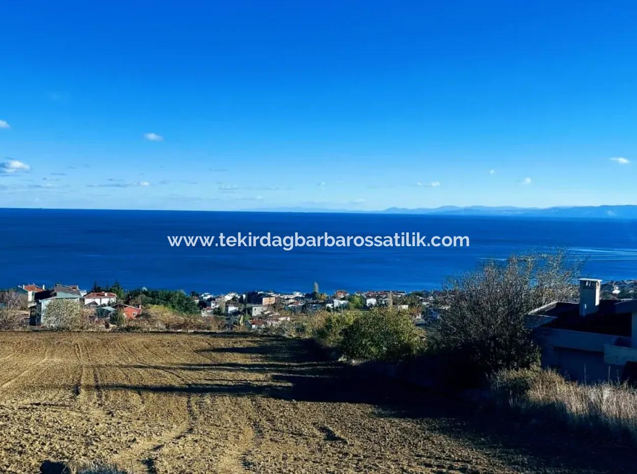 Residential Zoned Land With Full Sea View Suitable For The Construction Of A 42-Apartment Cooperative Site For Urgent Sale In Tekirdag Barbarosta