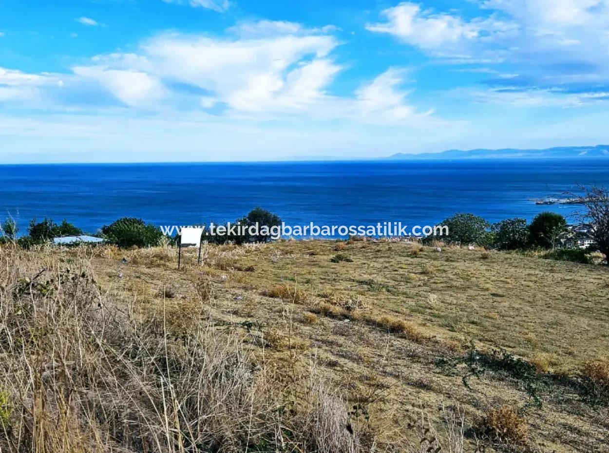 3.300 M2 Net Land Suitable For The Construction Of A Cooperative Site With Full Sea View For Urgent Sale In Tekirdag Barbarosta