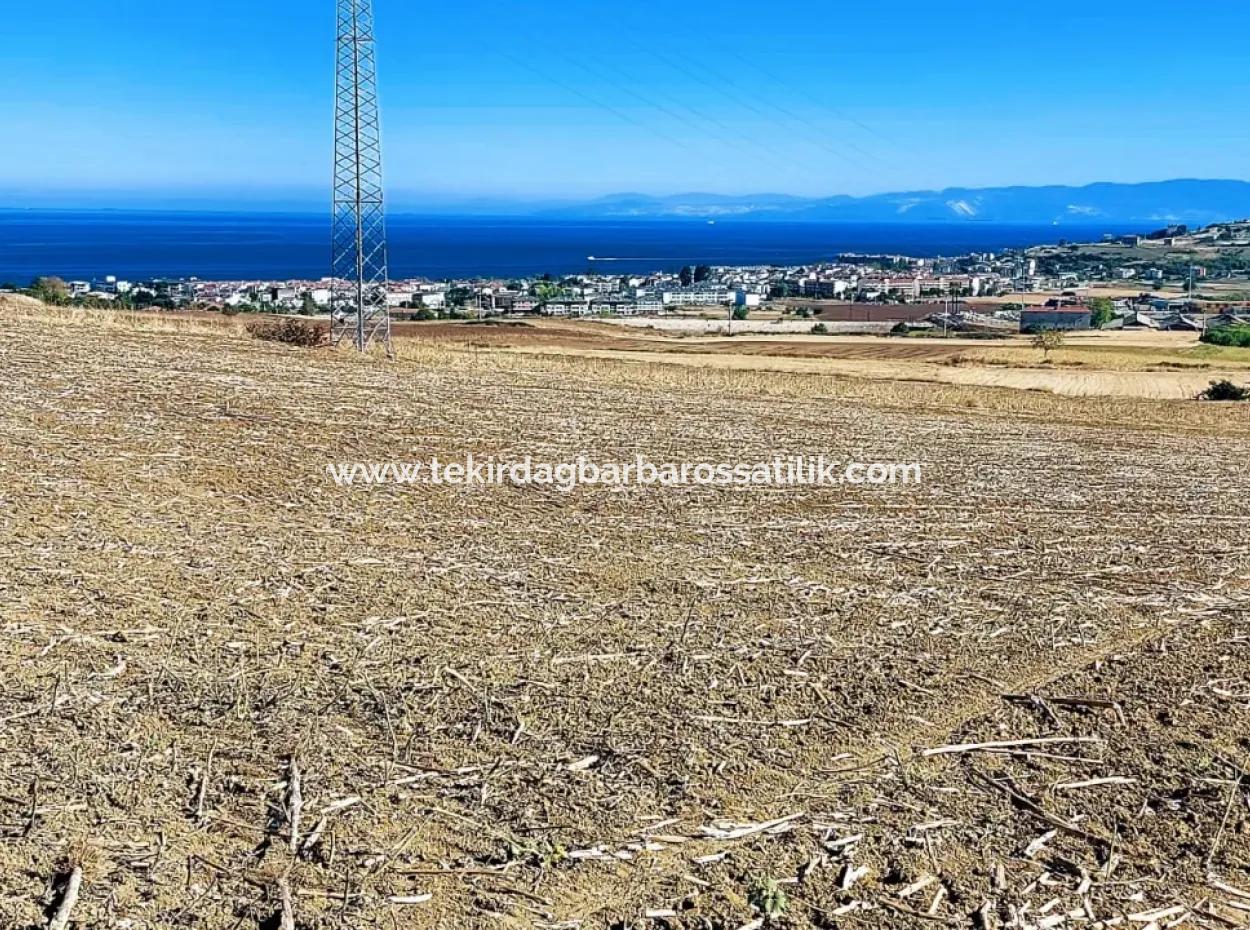 The 21,900 M2 Plot Located In Tekirdağ Barbaros Is Located Within The Current Zoning Plan Of Asyaport Port