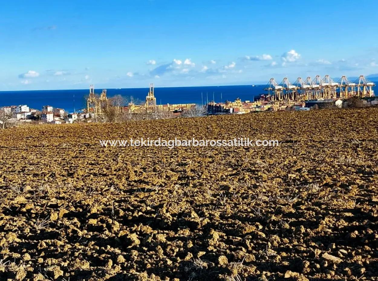 17.100 M2 Residential Zoned Field With Tremendous View, Close To Tekirdağ Barbaros Asyaport Port