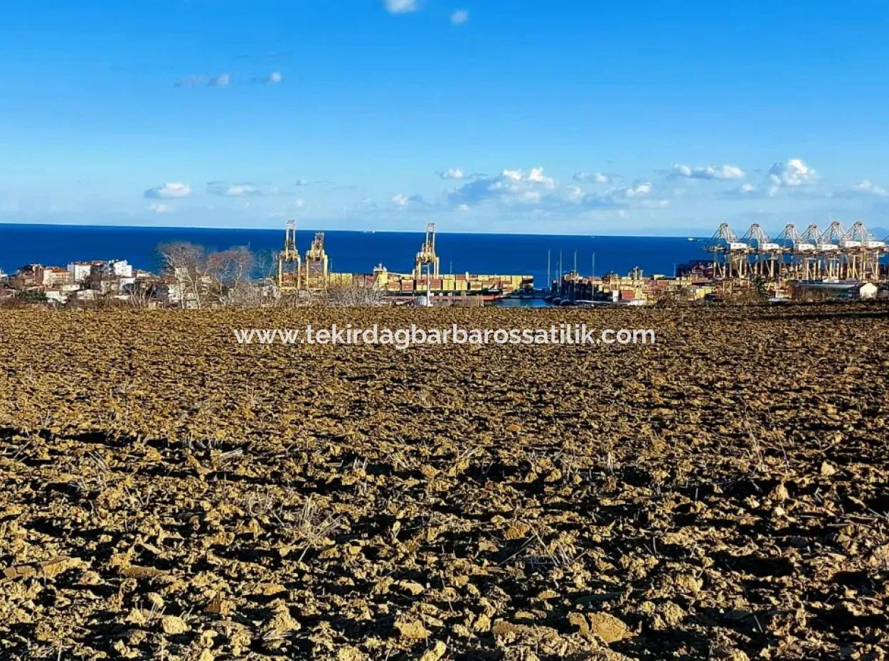 17.100 M2 Residential Zoned Field With Tremendous View, Close To Tekirdağ Barbaros Asyaport Port