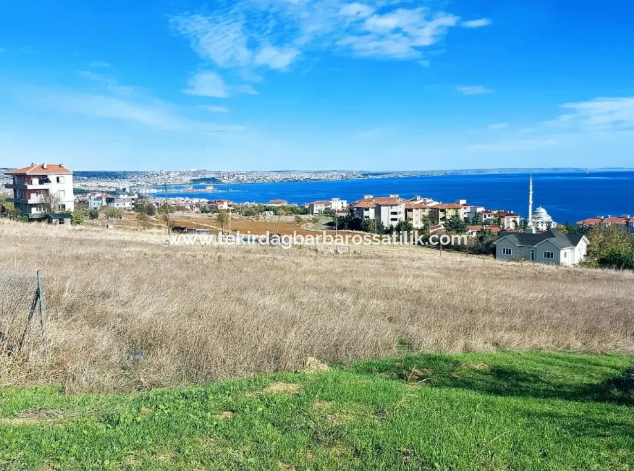 6.400 M2 Residential Zoned Investment Opportunity In Topağaç Neighborhood Of Tekirdağ