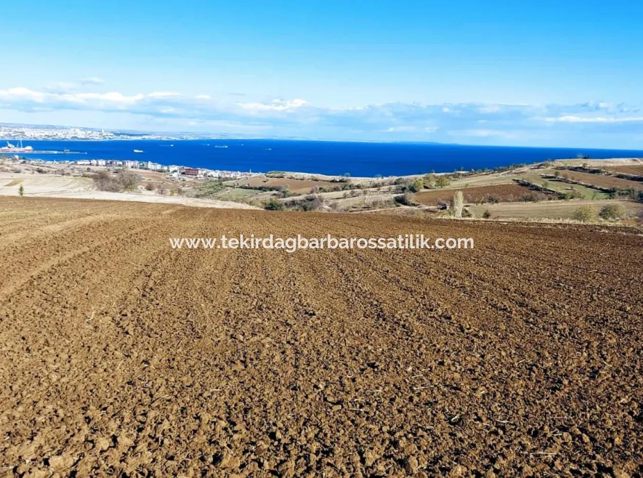 6.500 M2 Villa Zoned Field For Emergency Sale In Tekirdağ Barbaros Neighborhood