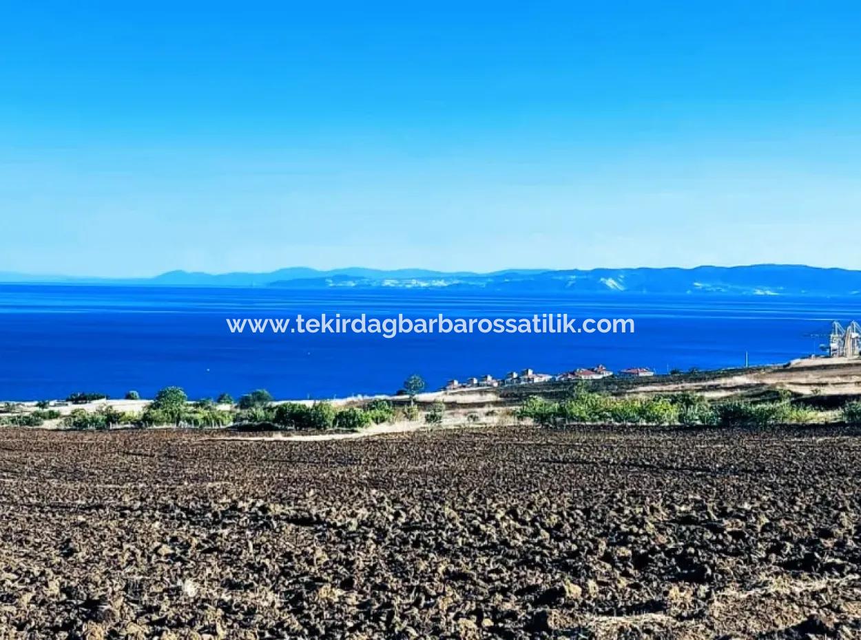 50 Flats For Urgent Sale In Tekirdag Barbarosta Cooperative And Coupon Place Suitable For Making Ste