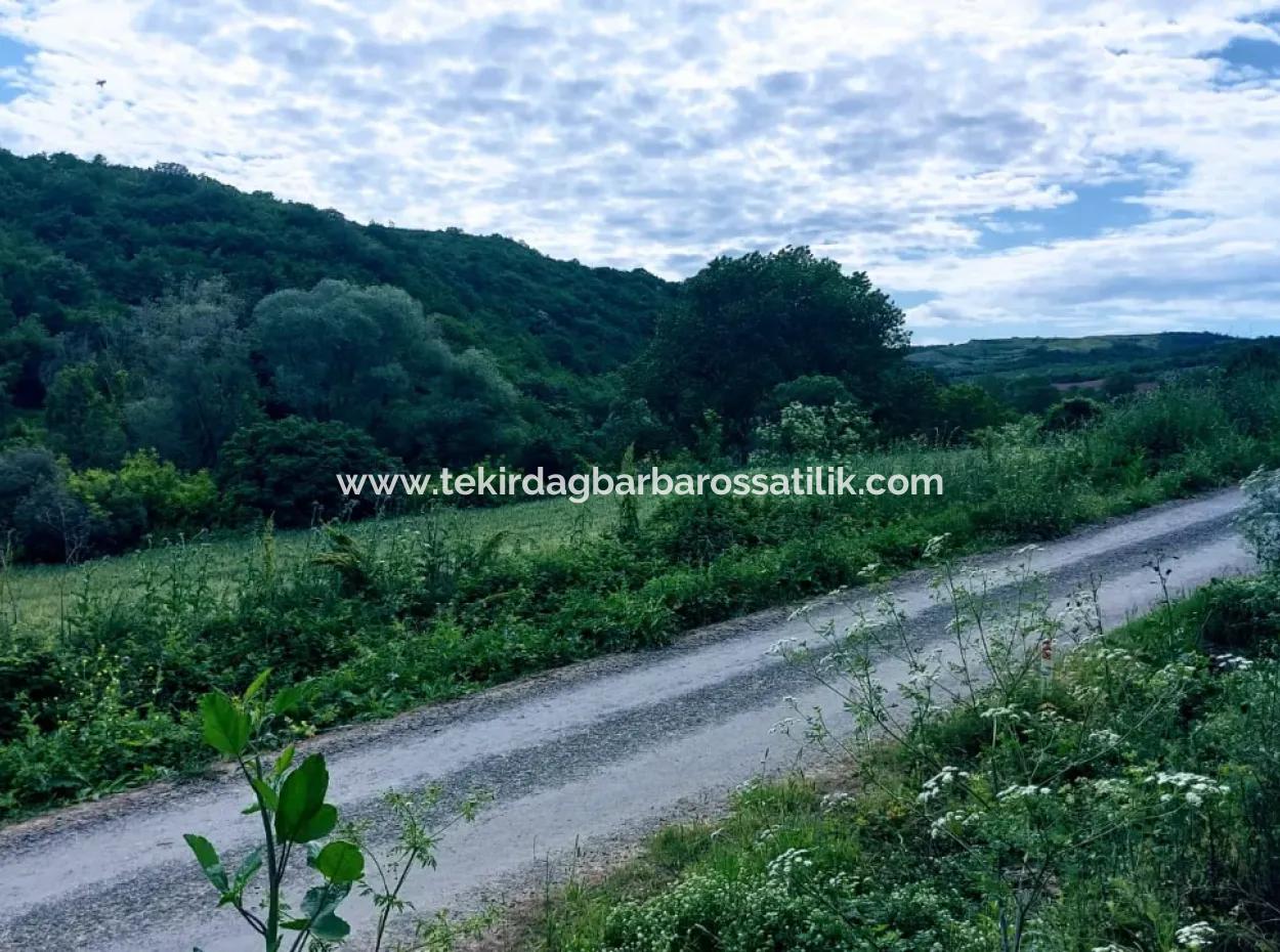 2.820 M2 Coupon Place Suitable To Put Tiny House In Nature For Urgent Sale In Tekirdağ Avşar Neighborhood