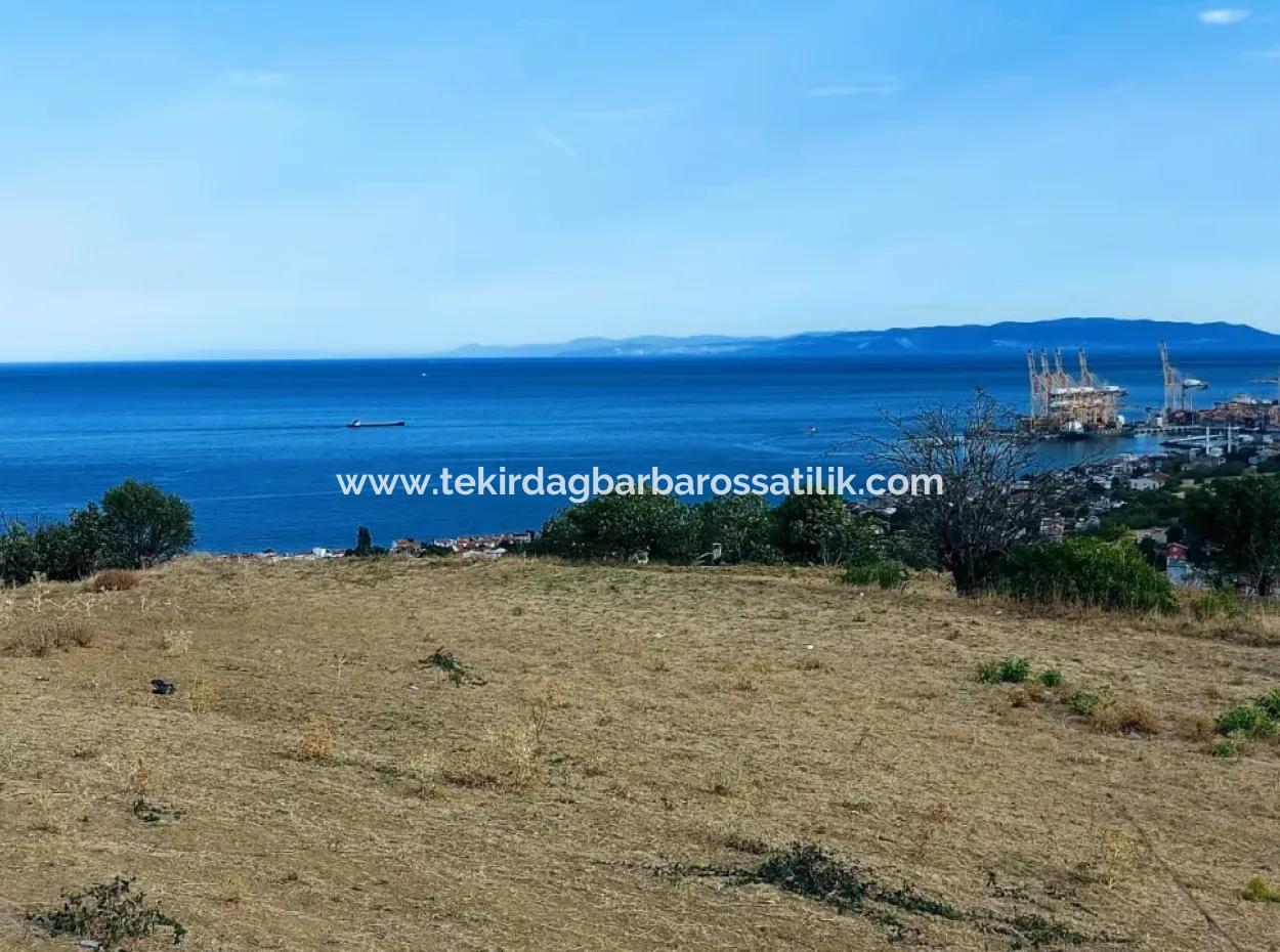 Coupon Land For Urgent Sale Suitable For Building Your Detached House With Wonderful Sea View In Tekirdag Barbarosta