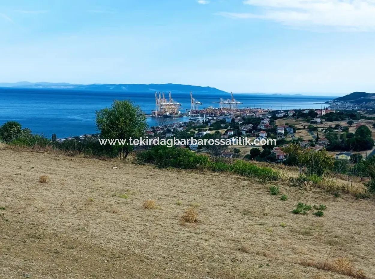 Coupon Land For Urgent Sale Suitable For Building Your Detached House With Wonderful Sea View In Tekirdag Barbarosta