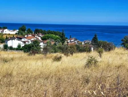 Coupon Land Suitable For Building A Detached House With Full Sea View For Urgent Sale In Tekirdag Barbarosta