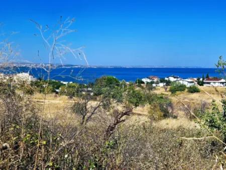 Coupon Land Suitable For Building A Detached House With Full Sea View For Urgent Sale In Tekirdag Barbarosta