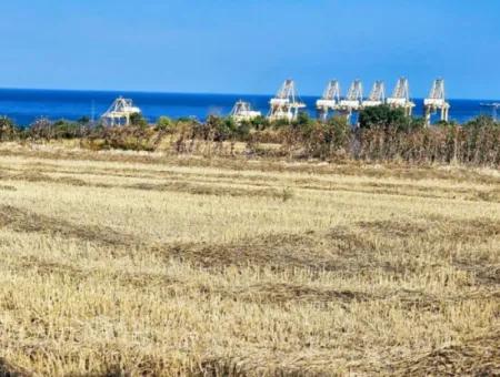 4.150 M2 Residential Zoned Field For Urgent Sale Just 1 Km From Asyaport Port