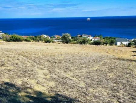 25 Flats With Full Sea View Coupon Place For Urgent Sale In Tekirdag Barbarosta