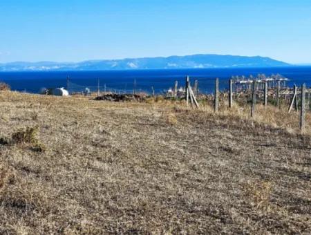 765 M2 Bargain Land With Full Sea View For Urgent Sale In Tekirdag Barbarosta