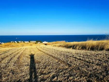 1.750 M2 Bargain Corner Plot With Full Sea View For Urgent Sale In Tekirdag Barbarosta