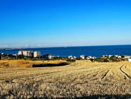 1.750 M2 Bargain Corner Plot With Full Sea View For Urgent Sale In Tekirdag Barbarosta