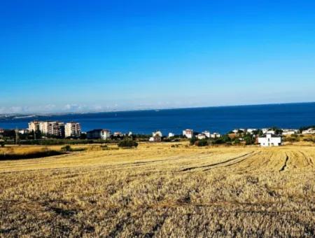 1.750 M2 Bargain Corner Plot With Full Sea View For Urgent Sale In Tekirdag Barbarosta