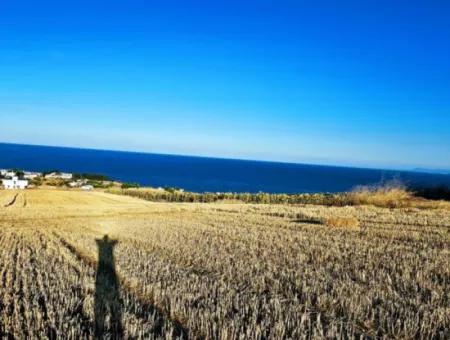 1.750 M2 Bargain Corner Plot With Full Sea View For Urgent Sale In Tekirdag Barbarosta