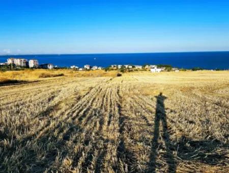 1.750 M2 Bargain Corner Plot With Full Sea View For Urgent Sale In Tekirdag Barbarosta