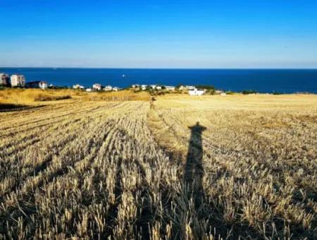 1.750 M2 Bargain Corner Plot With Full Sea View For Urgent Sale In Tekirdag Barbarosta