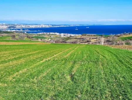 6.400 M2 Villa Zoned Land With Full Sea View Villa For Urgent Sale In Tekirdag Barbarosta