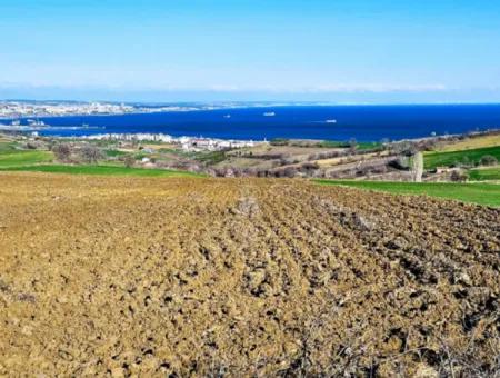 6.400 M2 Villa Zoned Land With Full Sea View Villa For Urgent Sale In Tekirdag Barbarosta