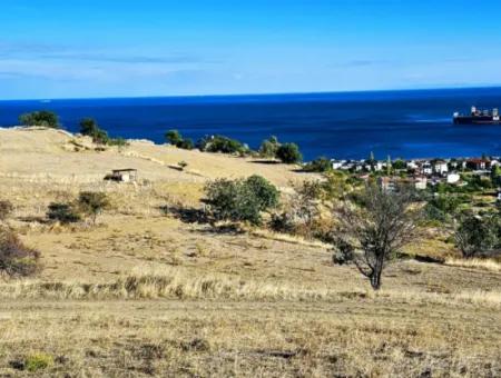 Opportunity Land Suitable For Making Your Detached House With Pool In Your Pregnant House For Urgent Sale In Tekirdag Barbarosta